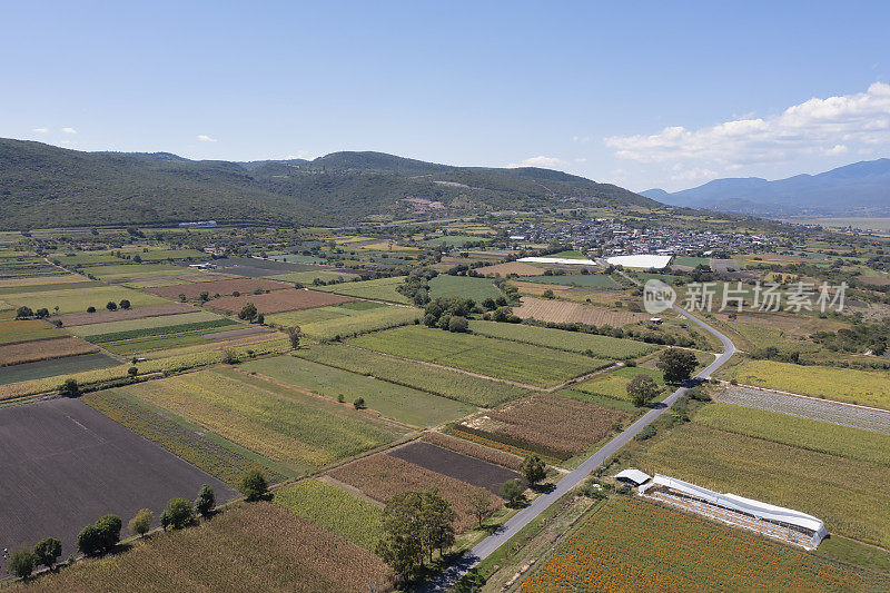 Flower farms in that state of Michoacán, Mexico